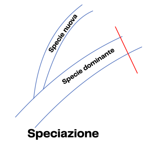 speciazione