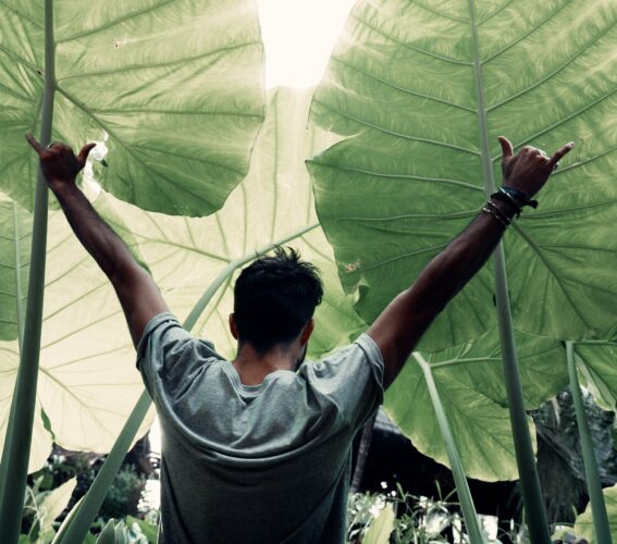 tecniche-di-persuasione-esplorazione-dario-vignali bias-cognitivi-esplorazione-dario-vignali